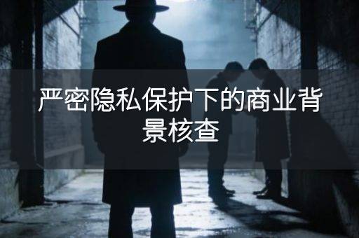 严密隐私保护下的商业背景核查