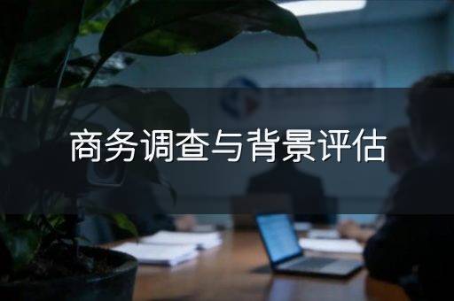 商务调查与背景评估