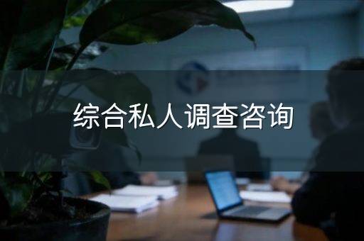 综合私人调查咨询